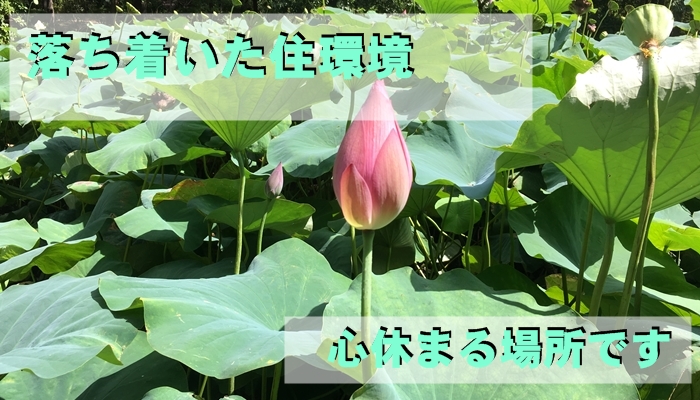 門真市朝日町の事務所使いOK物件（一戸建て貸家）